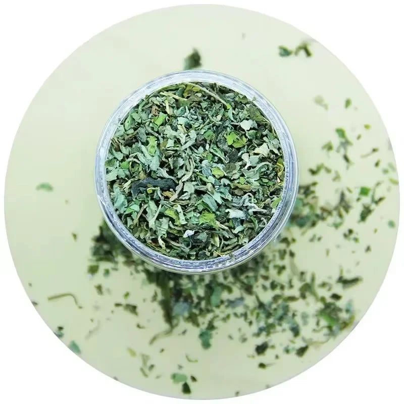 Hydrafun® - Herbe à Chat Bio 100% Naturelle